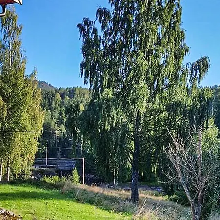 Front In * Neslandsvatn